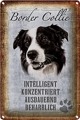 Produktbild von Blechschild Spruch 18x12cm Border Collie Hund