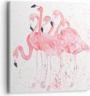 Produktbild von Bild auf Leinwand - Leinwandbild - Flamingo Vogel Wasser - 30x30cm - Wand Bild - Wanddeko - Leinwanddruck - Bilder - Kunstdruck - Wanddekoration - Leinwand bilder - Wandkunst - AC30x30-3899