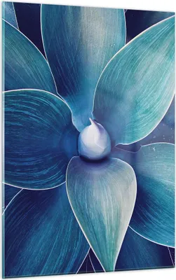 Produktbild von Bilder auf glas - Einteilig - Agave Blau Blume - 50x70cm - Glasbilder - Wandbilder - Bilder - zum Aufhängen bereit - Wanddekoration aus Glas - Glas Bilder - Wandbild auf Glas - GPA50x70-4972