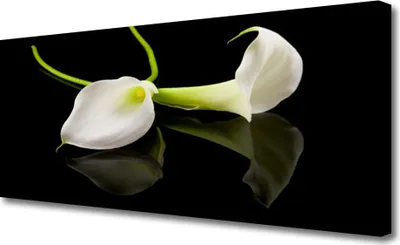 Produktbild von Tulup Leinwand-Bilder 125x50 Wandbild Canvas Kunstdruck Blumen Pflanzen