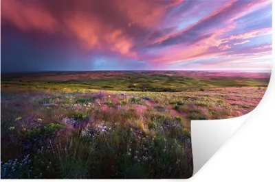 Produktbild von MuchoWow® - Selbstklebend - Fototapeten