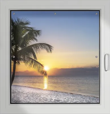 Produktbild von Wallario Lichtschutzbild, Dekorativer Sichtschutz Sonnenschutz 96 x 100 cm mit Motiv: Palme am Strand - Sonnenuntergang über dem Meer - Verdunklung ohne Bohren