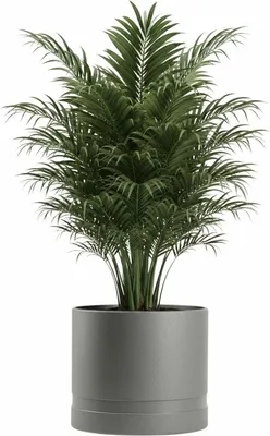 Immagine prodotto di HowHomely | Vaso per piante - Coprivaso  - L43xH38 cm - grigio - Vaso da fiori - Vaso per piante - Decorativo