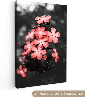 Produktbild von OneMillionCanvasses® - Leinwandbilder - 90x140 cm, Blumen - Rosa - Farbe, Wandbilder Kunstdruck Wanddekoration - Wandschmucke - Schlafzimmer