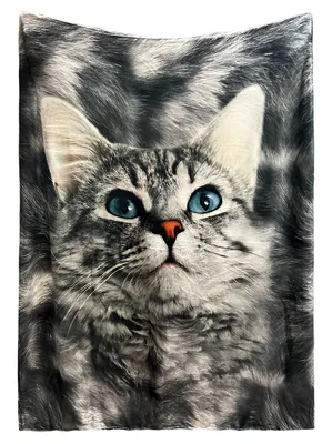 Obrázek produktu pro Mikroplyšová hřejivá deka šedá 150x200 cm - Kočka