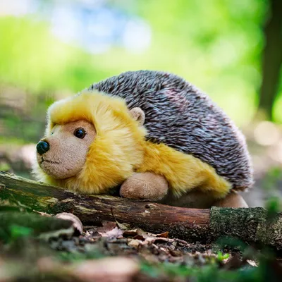 Image de Doudou hérisson Animigos