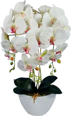 Immagine prodotto di Orchidea artificiale Damich, bianca, cuore rosa, in gomma, 3pgb2