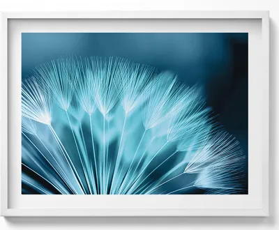Produktbild von Nahaufnahme einer Schmeißfliege– Wandbild mit Rahmen – Gerahmtes Bild  – Wanddekoration – 80x60 cm –  Weiß Rahmen