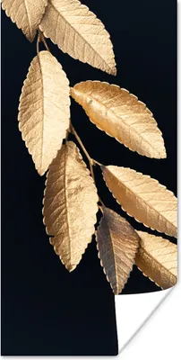 Produktbild von MuchoWow® Poster Blätter - Schwarz - Gold - Luxus - Pflanzen 60x120 cm - Wandschmuck