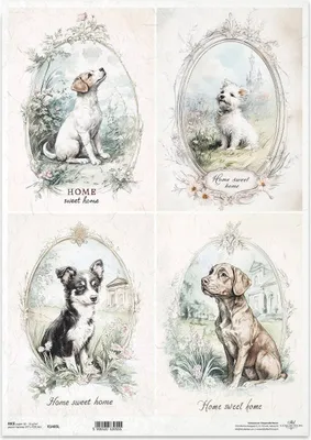 Produktbild von Reispapier Decoupage Bastelpapier für Decoupage A3 ITD-1405L Hunde