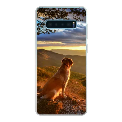 Produktbild von MuchoWow® Handyhülle Schutzhülle Hülle für Samsung Galaxy S10 Lite Ein Golden Retriever beobachtet den Sonnenuntergang Silikon Softcase Handy Hülle - Schutz