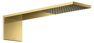 Productafbeelding van AXOR 12592990: Kopdouchemodule, 110/220