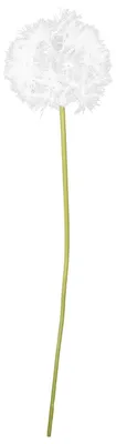 Produktbild von Künstliches Sonnenblumenarrangement - Imitationsblumen in Weiß