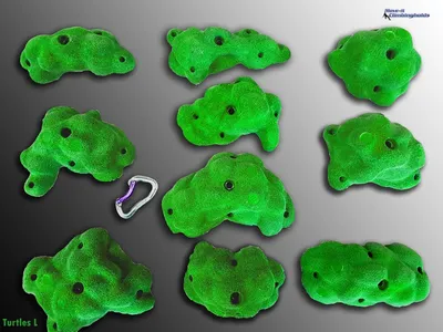 Produktbild von Klettergriffe Turtles L Move-it-Climbingholds,weiß