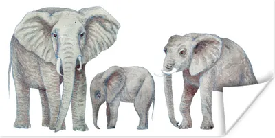 Produktbild von MuchoWow® Poster Tiere - Aquarelle - Afrika 120x60 cm - Bild