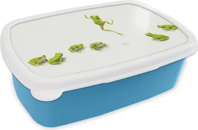 Produktbild von KitchenYeah® Lunchbox Brotzeit Brotdose 17x11 cm Frosch - Tiere - Grün Kinder Brotzeitdose - Lunch - Kunststoff  - Brotbüchse - Sandwichbox - Lunchbox für Kinder