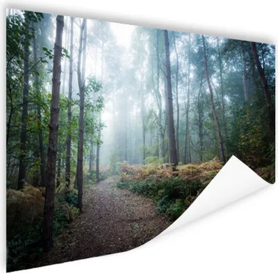 Produktbild von MuchoWow® Poster Wald - Nebel - Weg 60x40 cm - Schlafzimmerdekoration