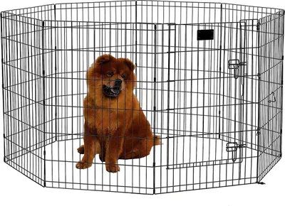 Obrázok produktu pre Trekker puppy run L, 8-panelový 61x92cm