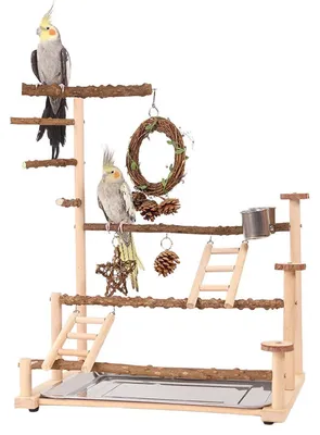 Productafbeelding van Vogel speelplaats met schommel, zitstokken, ladder, plateau en 2 voerbakken, 44x31x57 cm