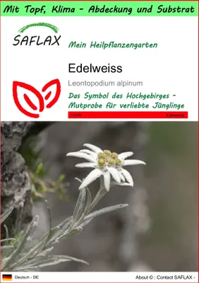 Produktbild von SAFLAX Garden to go - Edelweiss - Leontopodium alpinum - 500 Samen - Mit Topf, Klima - Deckel und Anzuchtsubstrat