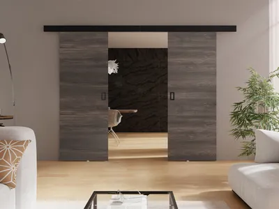 Obrázek produktu pro Posuvné dvoukřídlé interiérové dveře SANITA 3 - 132 cm, jasan tmavý