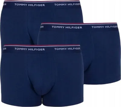 Zdjęcie produktu dla Tommy Hilfiger Majtki 1U87903842