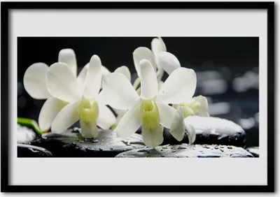 Produktbild von Bild 100x70 MDF-Rahmen Wandkunst Steine ​​Orchideen-Blumen