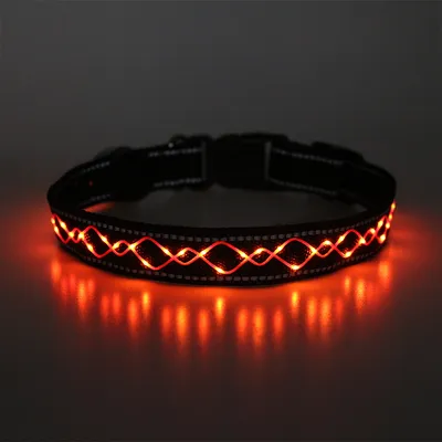 Produktbild von LED Hundehalsband – Leuchthalsband für Hunde, USB-aufladbar, wasserdicht, viele Farben & Größen orange Größe M