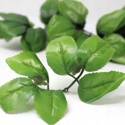 Produktbild von Domosfera Künstliche Blätter für Seifenrosen Bündel 10 Stück Grün