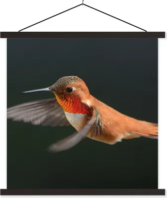 Produktbild von MuchoWow® Textilposter Kolibri - Federn - Schwarz 90x90 cm mit schwarzem Rahmen - Magnetisches