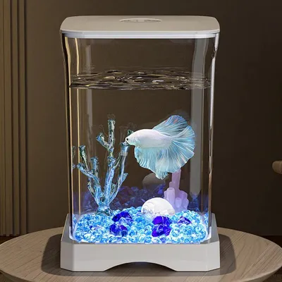 Produktbild von Aquarium Starterset - Mini Schreibtisch-Aquarium rechteckig - Futteröffnung oben - LED-Bodenlicht - Für Betta - Weiß