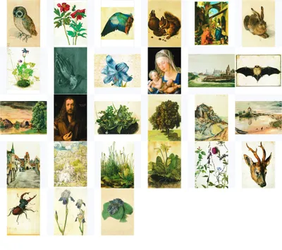 Produktbild von Kunstkarten-Komplett-Set Albrecht Dürer