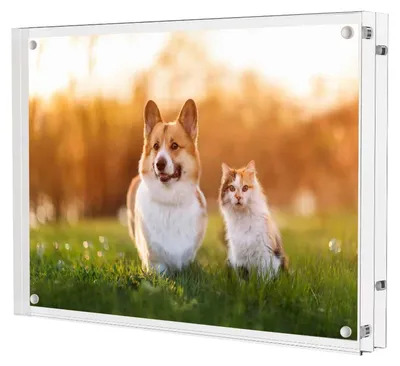 Image de Solidchoice - Cadre photo 20x15 cm - Cadre photo double face - Cadre photo magnétique - Cadre photo en acrylique - Cadre photo transparent - Idéal pour les photos de bébé - Support photo