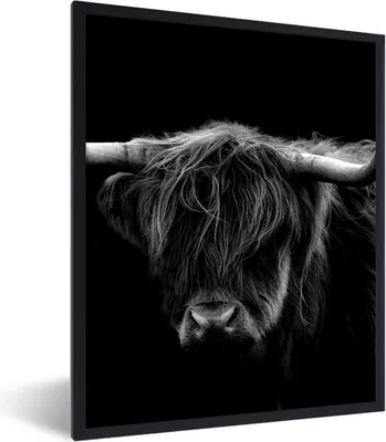 Produktbild von MuchoWow® Gerahmtes Poster Schottischer Highlander - Hörner - Schwarz - Tiere - Natur - Wild - Kuh 60x80 cm - Poster mit Schwarzem Bilderrahmen Wandposter Rahmen Foto Bilder - Premium - Wanddeko Wohnzimmer