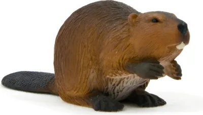 Obrázok produktu pre Animal Planet figúrka zvierat - Bobor, Animal Planet 8,5 cm x 3 cm - detailne a ručne maľované - vysoká kvalita a bezpečnosť