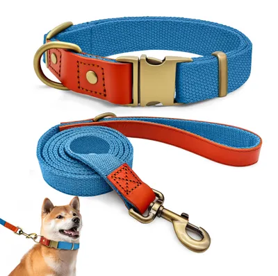 Imagen del producto de Conjunto de collar y correa, de cuero con nylon, de 38 a 58 cm, para perros
