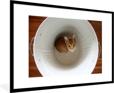 Produktbild von MuchoWow® MuchoWow® Gerahmtes Poster Katze - Mülleimer - Weiß 90x60 cm - Poster mit zchwarzem Bilderrahmen - Wanddekoration - Fotos