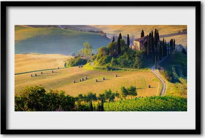 Produktbild von Bild 60x40 MDF-Rahmen Wandkunst Feld-Landschaft Bäume