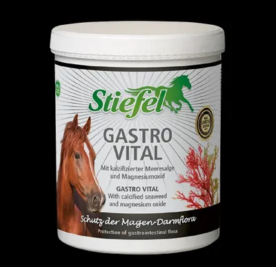 Produktbild von Stiefel Gastro Vital Ergänzungsfutter für Pferde Magen-Darm-Unterstützung 1 kg