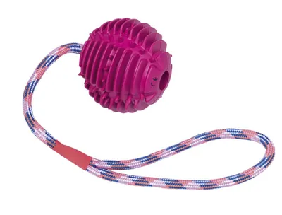Immagine prodotto di Palla in gomma piena con corda Palla: 7,5 cm; corda: 30 cm