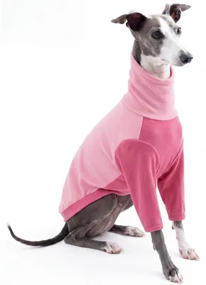 Image de Pull en polaire à col rond Windhund, couleur rose, taille L