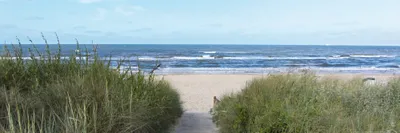 Produktbild von Strände Kunstdruck Bild - Weg Zum Meer (30 x 91 cm)