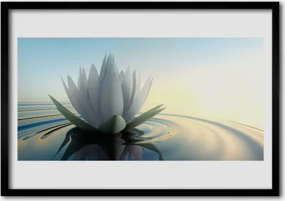 Produktbild von Bild 100x70 MDF-Rahmen Wandkunst Wasser-Lilien-Teich-Natur