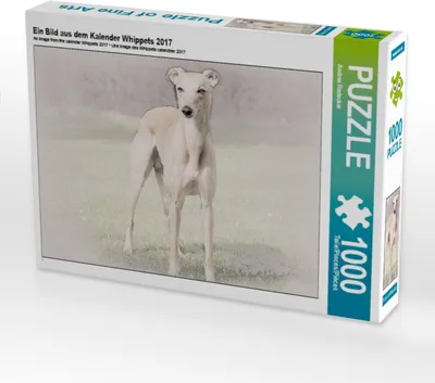 Produktbild von Calvendo Ein Bild aus dem Kalender Whippets 2017 1000 Teile Puzzle quer 640x480mm, Redecker Andrea; 7366640