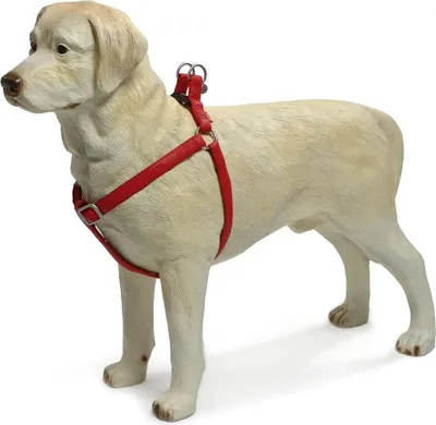 Produktbild von Beeztees - Hundegeschirr - Mac Kunstleder - rot - 35-60 cm