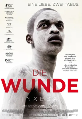 Produktbild von Die Wunde - DVD