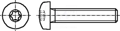 Zdjęcie produktu dla 100 sztuk śrub M3x8, gwint 0,5, z łbem Torx® A2, stal nierdzewna 3061606, śruba z kołkiem, łeb: kulisty