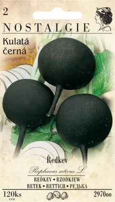 Obrázek produktu pro Ředkev KULATÁ ČERNÁ