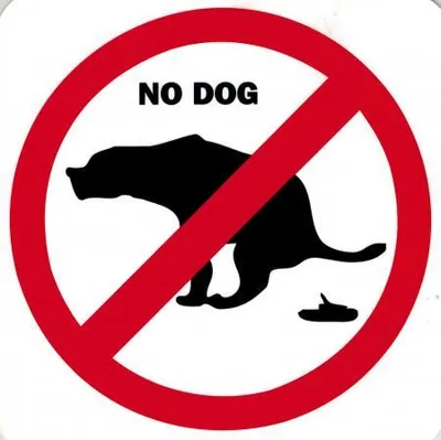 Produktbild von Hinweis- Schild - No Dog - Gr. 20 X 20 cm - 308331 - Tiere Verbot