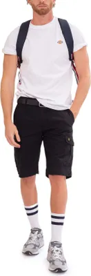 Obrázok produktu pre DICKIES - Pánske tričko Mapleton - Veľkosť XXL
